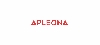 Apleona Südwest GmbH