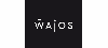 Wajos GmbH